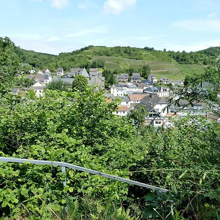 Apartment Relaxen Im Weindorf 1 Mayschoss