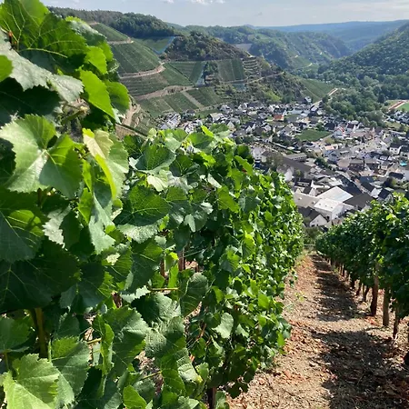 Relaxen Im Weindorf 1 Mayschoß